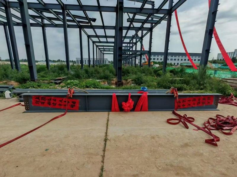 Cuideachta Struchtúr Cruach Yongcheng Xingye Luasghéarú Ceardlann Bia Hebei Bosheng
