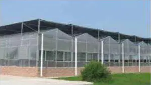 Steel Structure Greenhouse