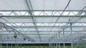 Steel Structure Greenhouse